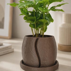 Maceta Cofesia con plato, macetero decorativo inspirado en granos de café, maceta para plantas de interior