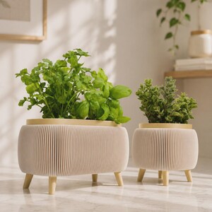Puede incluir: Dos maceteros de color blanco roto con textura plisada y acanalada y patas de madera clara. El macetero más grande es ovalado y contiene hierbas verdes, mientras que el más pequeño es circular y contiene una pequeña planta verde.