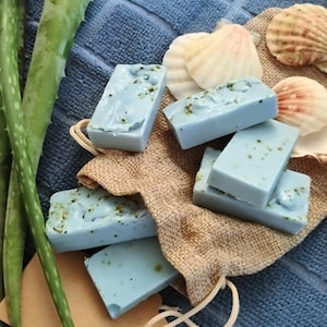 May include: Several rectangular light blue soap bars with visible green herbal flecks are arranged on a tan burlap drawstring pouch, accompanied by three light-colored seashells and two long green aloe vera leaves.