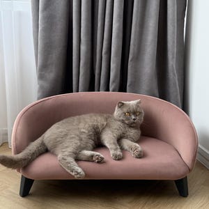 Anpassad velourbädd för katter och små hundar, böjd rygg, loungebädd med metallben, träram och lättrengjord tygdekor