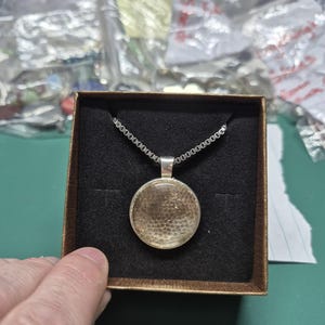 Premade Snake Skin Pendant Necklace, Ball Python Shed Jewelry, Reptile Gift