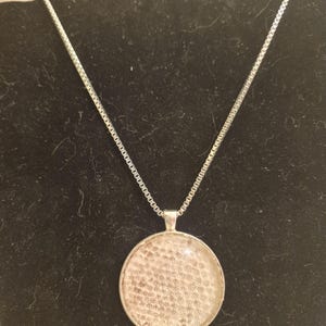 Premade Snake Skin Pendant Necklace, Ball Python Shed Jewelry, Reptile Gift