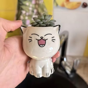 Vaso per piante grasse a forma di gatto, vaso in ceramica da terra per gattini, piccolo vaso per cactus e fiori, regalo per amanti dei gatti, mini vaso per erba e microgreens, decorazione da scrivania a tema gattini