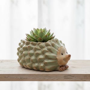 Hedgehog Succulent Planter | Ceramic Animal Plant Pot | Cute Hedgehog Decor | Small Cactus Holder | Desk Decor Gift for Plant Lovers