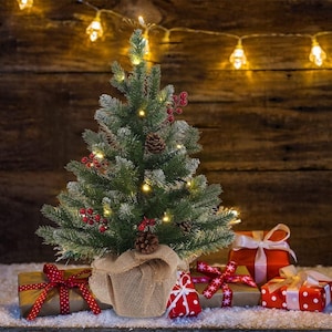 May include: A small artificial Christmas tree with green needles, dusted with white snow, decorated with red berries, brown pinecones, and warm white string lights. The base is wrapped in tan burlap, surrounded by several wrapped gift boxes.