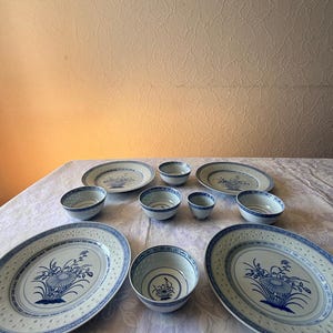Può includere: Un set di stoviglie in ceramica bianca con motivi floreali blu, composto da tre grandi piatti da portata ovali e sei ciotole di varie dimensioni, tutti decorati con un motivo botanico blu coerente al centro e sui bordi.