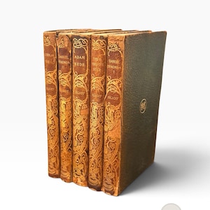 Könnte beinhalten: Ein Set aus fünf antiken Büchern mit dunkelbraunen, strukturierten Einbänden und goldgeprägten Buchrücken, die mit floralen Mustern und Titeln wie Daniel Deronda, Adam Bede und Theophrastus Such von George Eliot versehen sind.