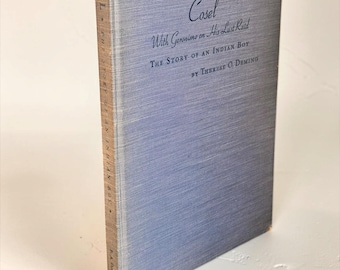 以下が含まれることがあります： Therese O. Deming著『Cosel With Geronimo on His Last Raid: The Story of an Indian Boy』というタイトルのハードカバー本。この本は、質感のあるライトブルーの布製カバーで、表紙と背表紙にダークブルーの文字が印刷されています。