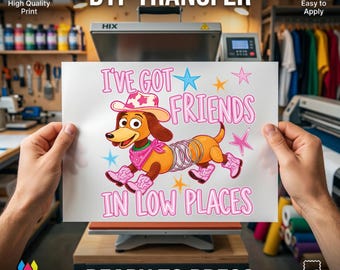 Western Slinky DTF Transfer, I've Got Friends In Low Places Ready to Press