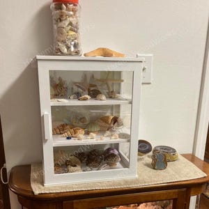 May include: A white wooden display cabinet with a glass door and three interior shelves, filled with various seashells and a starfish. A clear plastic jar filled with seashells sits on top of the cabinet, and three agate stones sit beside it.