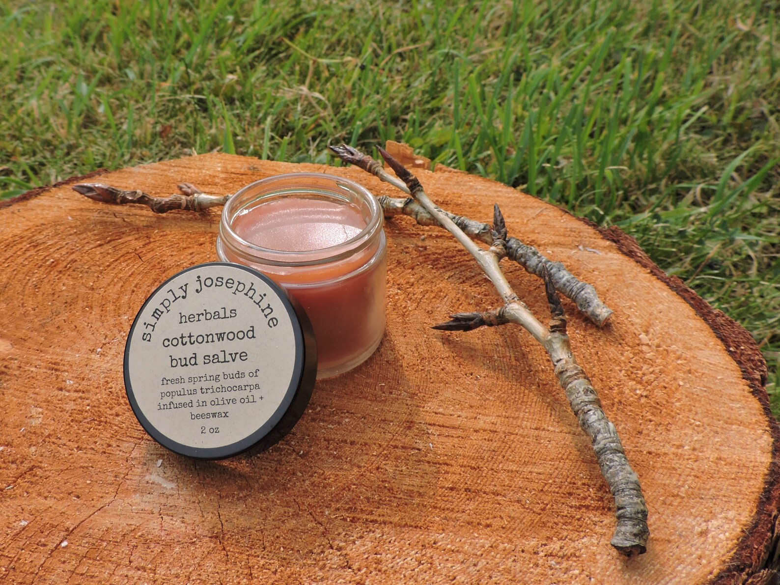Cottonwood Bud Salve Pain Relief Salve Balm of Gilead Etsy