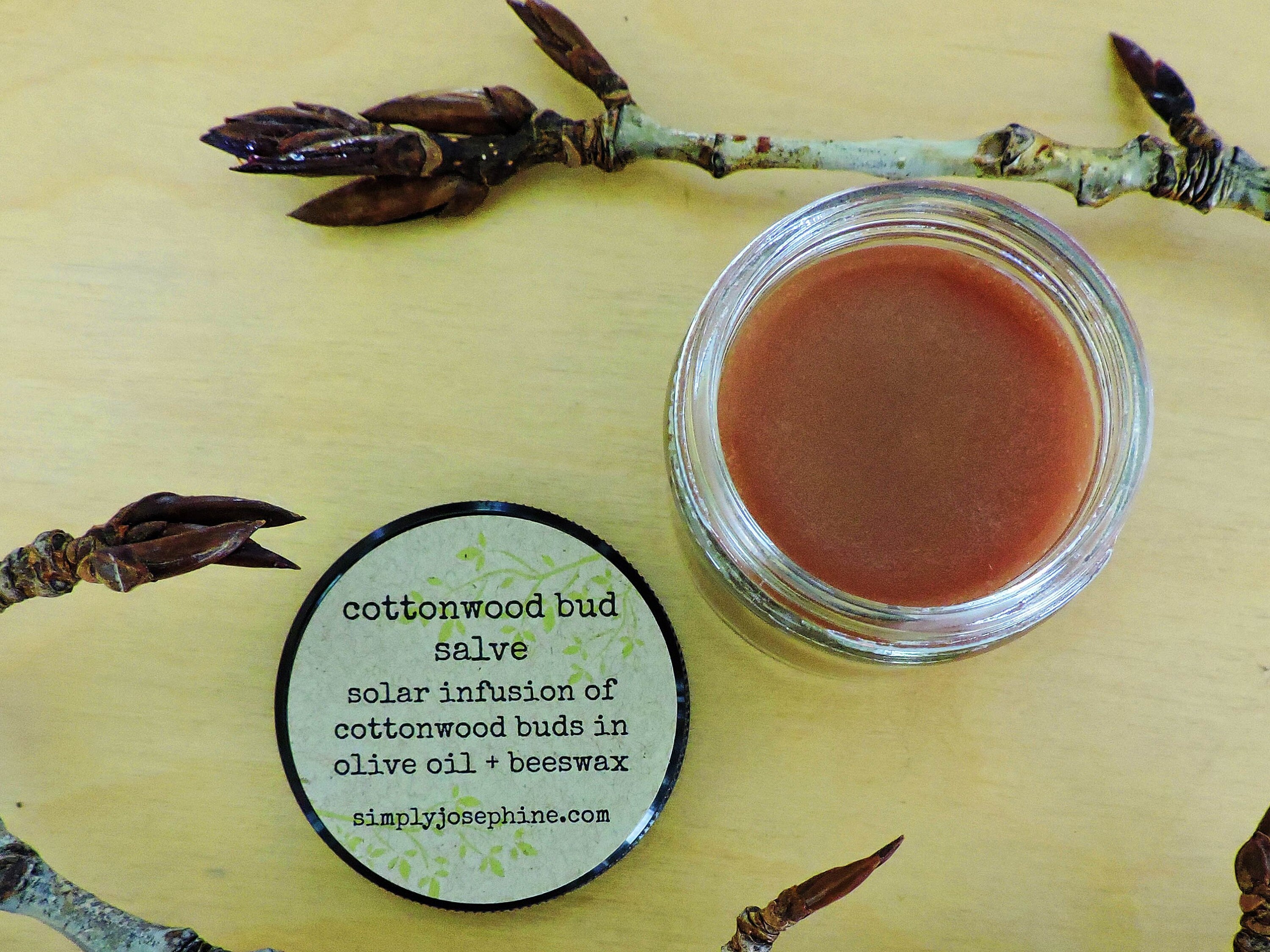Cottonwood Bud Salve Pain Relief Salve Balm of Gilead Etsy