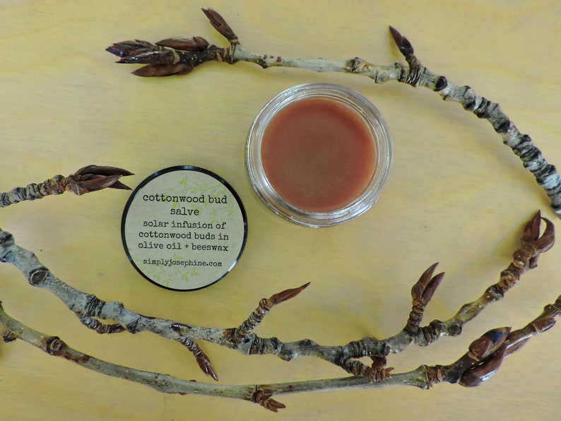 Cottonwood bud salve pain relief salve balm of gilead Etsy