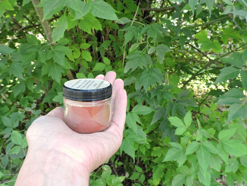 Cottonwood Bud Salve Pain Relief Salve Balm of Gilead Etsy