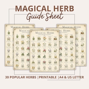 May include: A collection of five identical cream-colored guide sheets titled MAGICAL HERB Guide Sheet and MAGICAL HERBS Traditional Meanings & Correspondences. Each sheet features illustrations of 30 popular herbs with text, labeled 30 POPULAR HERBS | PRINTABLE | A4 & US LETTER.