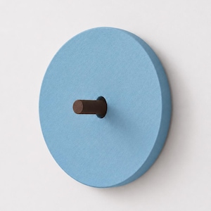K&ouml;nnte beinhalten: Ein runder Wandhaken mit einer flachen, hellblauen Scheibe als Basis und einer glatten, matten Oberfl&auml;che. Ein kleiner, zylindrischer dunkelbrauner Stift ragt aus der Mitte der Scheibe hervor und dient als funktionaler Punkt zum Aufh&auml;ngen.