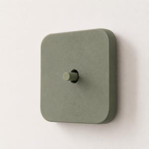 Peut inclure: Un interrupteur carré avec une finition vert sauge mat et des coins arrondis. L'interrupteur présente un levier à bascule cylindrique central de couleur vert sauge assortie, dépassant d'une ouverture circulaire au centre de la plaque.
