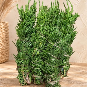 May include: A bundle of fresh green juniper branches tied together with thin, light-colored twine. The foliage is dense and needle-like, featuring a vibrant emerald green color with small, round, light green berries visible among the stems.