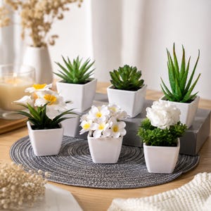 Può includere: Un set di sei piccole piante artificiali in vasi quadrati di ceramica bianca. Il gruppo include varie piante succulente verdi, una pianta alta simile all'aloe e tre vasi con fiori bianchi dal centro giallo, disposti su un tappetino grigio.