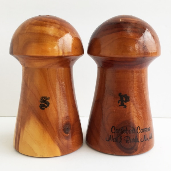 Carlsbad Caverns New Mexico Mushroom Salt and Pepper souvenir shakers mid century