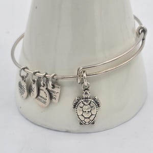 Alex And Ani Turtle Bracelet Signed