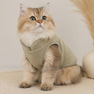 Mönster för katt, sömnadsmönster för katttopp, sömnadsmönster för husdjur, mönster för katt, mönster för husdjur, kattjacka, mönster för kattkläder