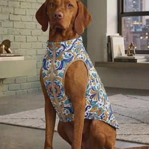 Puede incluir: Un perro marrón lleva puesto un chaleco sin mangas con una base blanca y un patrón floral repetitivo en azul, turquesa y naranja. El chaleco tiene cuello alto, cierre de cremallera frontal y ribetes beige alrededor de las sisas y la cremallera.