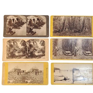 Antieke stereoscoop-fotokaarten 6 gemengde kavels Wereldtentoonstelling; CA; Niagarawatervallen
