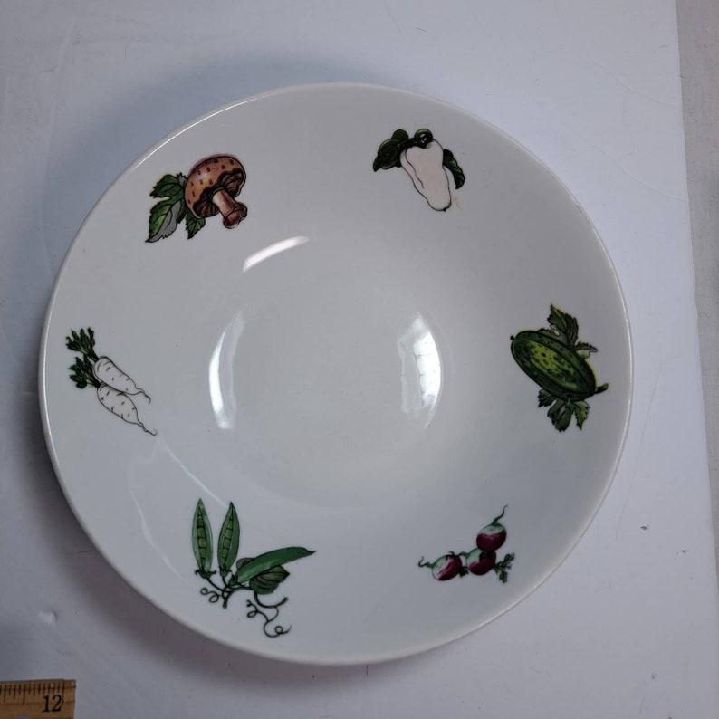 Vintage Winterling Roslau Bavaria China Plates Bowl Vegetable Design Colorful Etsy