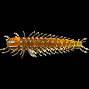 May include: A translucent amber-colored fishing lure shaped like a centipede with a segmented body and numerous thin, curved legs extending from both sides. The lure has a smooth, glossy texture and a tapered tail, designed for aquatic use.