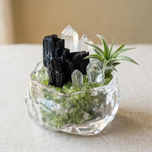 Könnte beinhalten: Eine klare, unregelmäßig geformte Glasschale gefüllt mit kleinen grünen Peridot-Splittern, mit einer Ansammlung von schwarzen Turmalinkristallen, mehreren klaren Quarzspitzen und einer grünen Luftpflanze zwischen den Steinen.