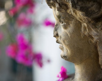 Profile Garden Sculpture with Fushia Bougainvillea