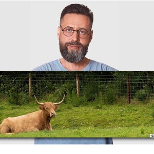 Scottish Highland Cow - Etsy