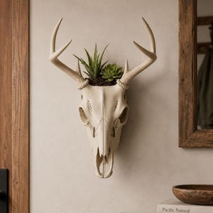 May include: A wall-mounted off-white deer skull planter featuring a pair of antlers and a central cavity containing a green aloe plant and a small succulent. The skull has a smooth, matte finish with visible structural details and natural bone texture.