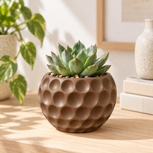 May include: A round, matte brown planter with a textured surface featuring a repeating pattern of circular indentations. The planter holds a green succulent plant with pointed leaves, nestled in a bed of small, light-colored decorative pebbles.