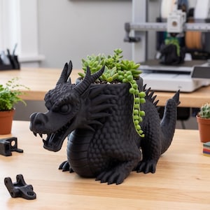 May include: A matte black 3D-printed dragon-shaped planter featuring a textured, scaled surface, a detailed head with horns, and an open mouth. The hollow back of the dragon holds a variety of small green succulent plants with trailing vines.