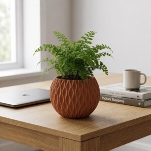 May include: A vibrant green fern plant potted in a spherical terracotta-colored planter with a vertical wavy texture. The planter features a rounded shape and a matte finish, providing a distinct contrast to the delicate, feathery green foliage.