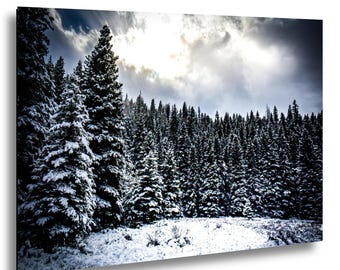Snow Covered Pine Forest Wall Art, Jemez Mountains Winter Landscape Photography Print