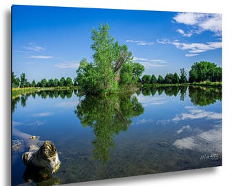 Lake Reflection Print: Island Trees, Weathered Stump, Calm Water Wall Art