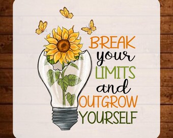 Break Your Limits Dtf Transfer, Positive Saying Ready To Press, Inspirational Quote Heat Transfer, Motivational Iron On Decal, Inspiring Dtf