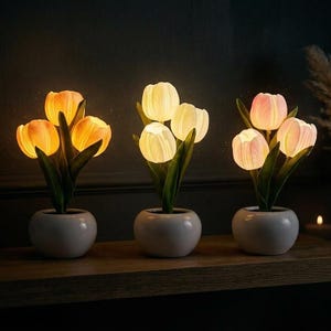 Peut inclure: Trois petites lampes tulipes en pot avec des feuilles vertes et des bases en céramique blanche. La lampe de gauche brille d'une lumière orange chaude, celle du centre émet une lumière blanche vive et celle de droite a une teinte rose douce.
