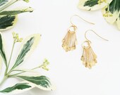 Medium Drop Earrings