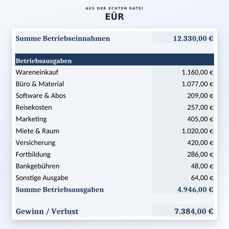 EÜR Vorlage Excel & Google Sheets Deutsch | Buchhaltung Kleinunternehmer | Einnahmen Ausgaben Umsatzsteuer Tracker für Selbstständige image 7
