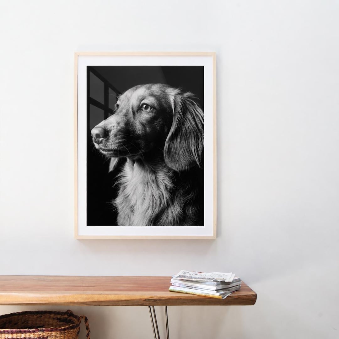 Custom Dog Portrait From Photo | Black & White Pet Portrait | Personalized Pet Memorial Gift | Luxury Pet Portrait | Custom Cat Portrait