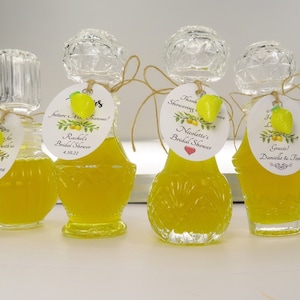 9 Shapes 2oz Empty Decanter Bottles & Tags for Limoncello or Anything You Have Glass Bottles Limoncello Favors Homemade Limoncello Gifts