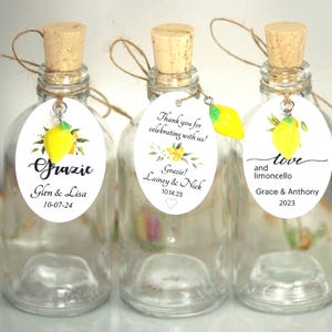 3oz Bottles/Tags/Corks/Lemon Charms Glass Limoncello Bottles Limoncello Tags Empty Glass Bottles Corked Bottles Limoncello Wedding Favors