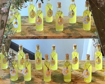 3.5oz Empty Bottles Order As Many As Needed! Custom Tags Limoncello Liqueurs Wine Favors Corked Glass Bottles Cork Wedding Favor