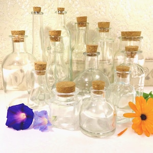 Set Mixed Corked Bottles Vintage Style Glass Bottles Bottle Collection Sand Collection Bottles Potion Bottles Spell Jars Apothecary Bottles
