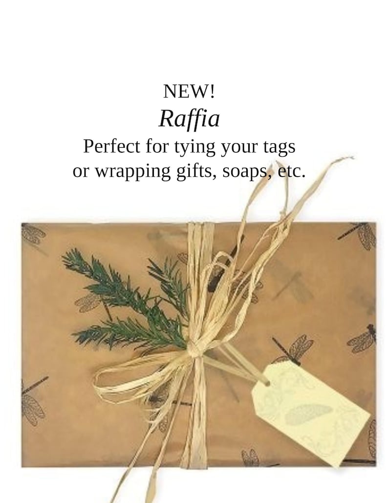 May include: A brown paper gift bag with a dragonfly pattern. The bag is tied with natural raffia ribbon and a sprig of rosemary. A blank gift tag is attached to the ribbon.