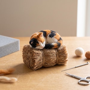 Peut inclure: Une figurine de chat calico en laine feutrée avec des poils noirs, orange et blancs, recroquevillée en position de sommeil sur un ballot rectangulaire de fibres naturelles brunes liées avec de la ficelle, avec une aiguille et des ciseaux.